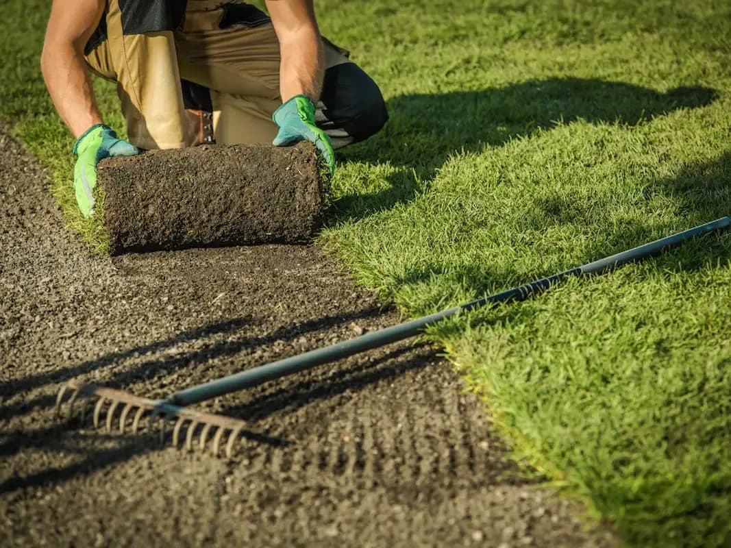Pessoa fazendo paisagismo visando a sustentabilidade na construção civil